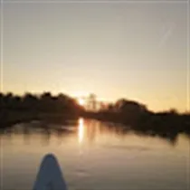 Alberthe søger: lejlighed eller rækkehus til leje i Brørup 